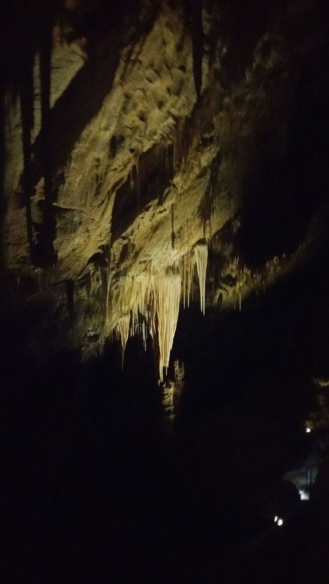 Small-group DayTour From Hobart: Hastings Caves, Huon Valley And Tahune AirWalk - Sunshine Coast Guide 7