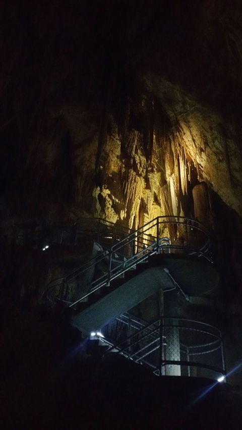 Small-group DayTour From Hobart: Hastings Caves, Huon Valley And Tahune AirWalk - Sunshine Coast Guide 4