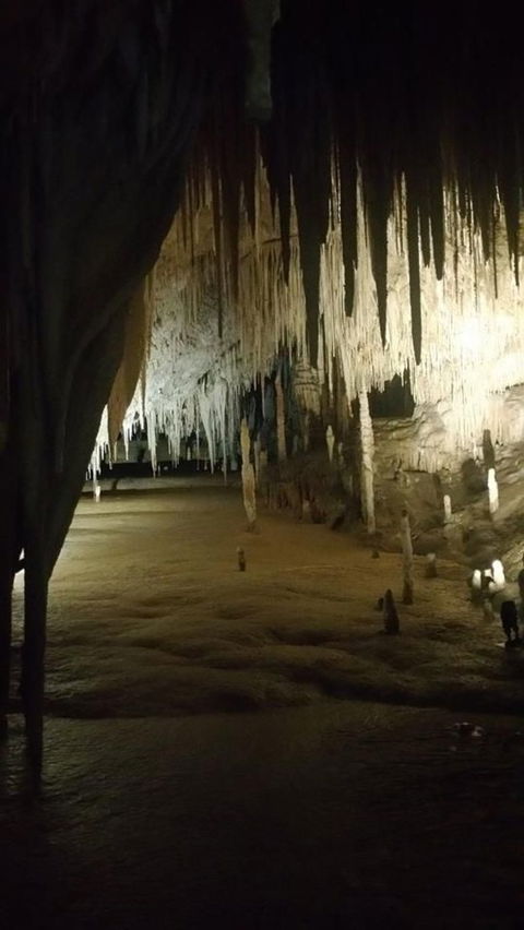 Small-group DayTour From Hobart: Hastings Caves, Huon Valley And Tahune AirWalk - Sunshine Coast Guide 8