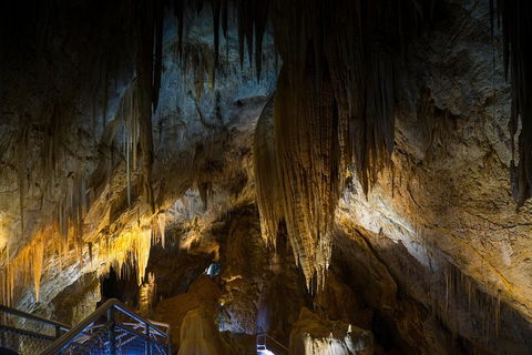 Small-group DayTour From Hobart: Hastings Caves, Huon Valley And Tahune AirWalk - Sunshine Coast Guide 19