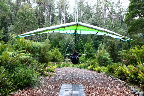 Small-group DayTour From Hobart: Hastings Caves, Huon Valley And Tahune AirWalk - Sunshine Coast Guide 10