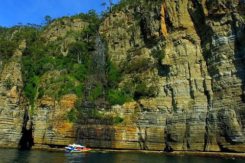 3-Hour Tasman Peninsula Wilderness Cruise From Port Arthur - Sunshine Coast Guide 7