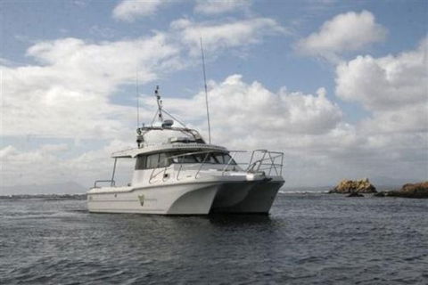 Bonnet Island Experience Departing From Strahan - Sunshine Coast Guide 1