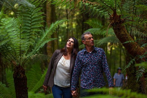 West Coast Wilderness Railway: River And Rainforest From Strahan - Sunshine Coast Guide 1