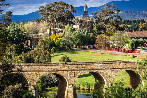 Shore Excursion-Hobart Wanderer - Sunshine Coast Guide 0