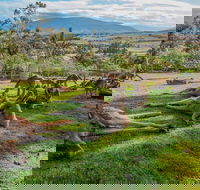 Shore Excursion Hobart's Best In Half A Day - Sunshine Coast Guide