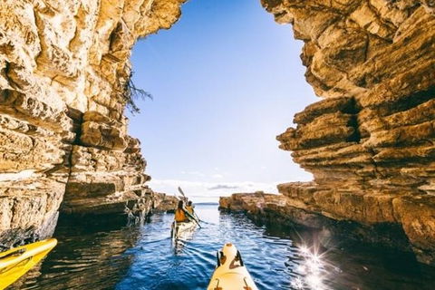 Hobart Kayak Tour - Sunshine Coast Guide 0