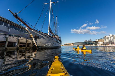 Hobart Kayak Tour - Sunshine Coast Guide 8