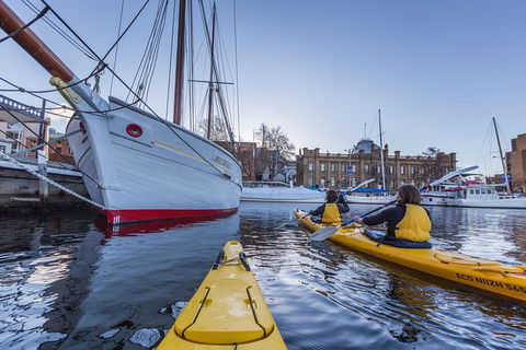 Hobart Kayak Tour - Sunshine Coast Guide 5
