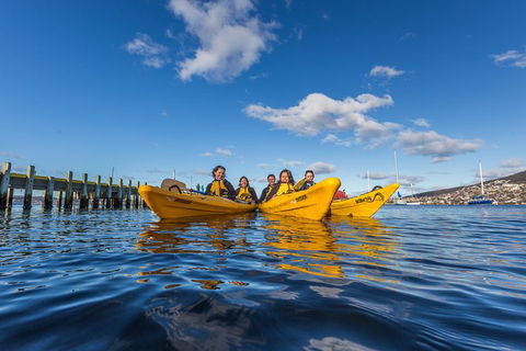Hobart Kayak Tour - Sunshine Coast Guide 7
