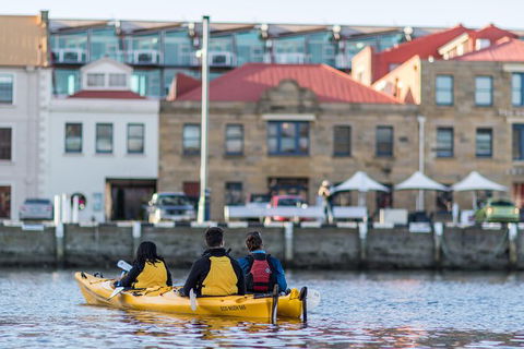 Hobart Kayak Tour - Sunshine Coast Guide 6