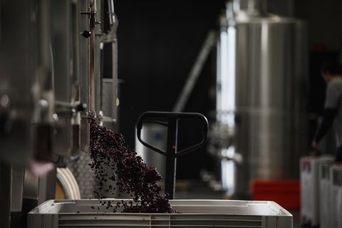 Private 90-minute Moorilla Estate Winery Tour With Tastings And Free Wine Gift - Sunshine Coast Guide 1