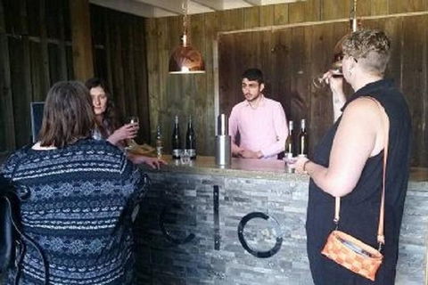 Tamar Valley Food And Wine Day Trip From Devonport, Ulverstone Or Burnie - Sunshine Coast Guide 1