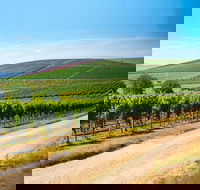 Full Day Tamar Valley Wine Tour - Sunshine Coast Guide