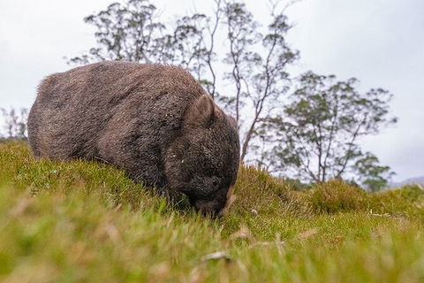 3-Day Cradle Mountain Photography Workshop - Sunshine Coast Guide 7