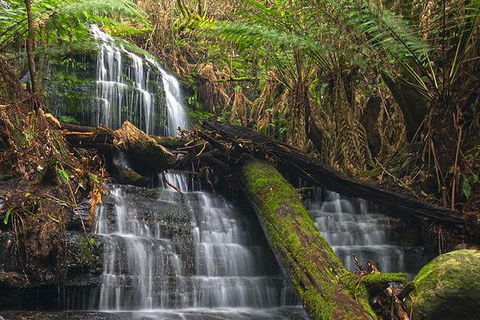 Hobart And Surrounds Photography Workshop - Sunshine Coast Guide 4