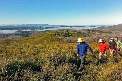5-Day Tasmania West Coast Camping Tour: Hobart To Launceston Including Mount Field National Park, Tarkine And Cradle Mountain - Sunshine Coast Guide 1