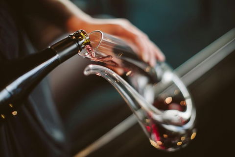 Private Moorilla Estate Tour Including Cellar Door Tasting Of Vintage Wines - Sunshine Coast Guide 1