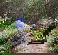 Hollybank Wilderness Adventures - Segway Tour - Sunshine Coast Guide