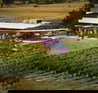 Home Hill Winery Helicopter Tour - Sunshine Coast Guide