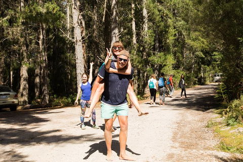 7-Day Best Of Tasmania Adventure Experience From Hobart (flexible Ticket) - Sunshine Coast Guide 5