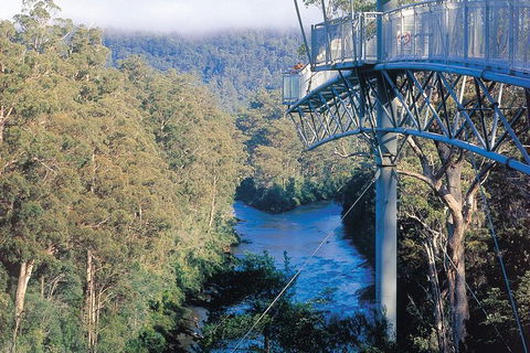 Small-groupTour From Hobart: Mt. Wellington, Huon Valley And Tahune AirWalk - Sunshine Coast Guide 0