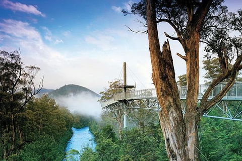 Small-groupTour From Hobart: Mt. Wellington, Huon Valley And Tahune AirWalk - Sunshine Coast Guide 1