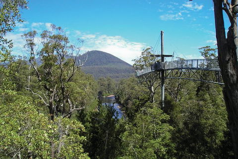 Small-groupTour From Hobart: Mt. Wellington, Huon Valley And Tahune AirWalk - Sunshine Coast Guide 7