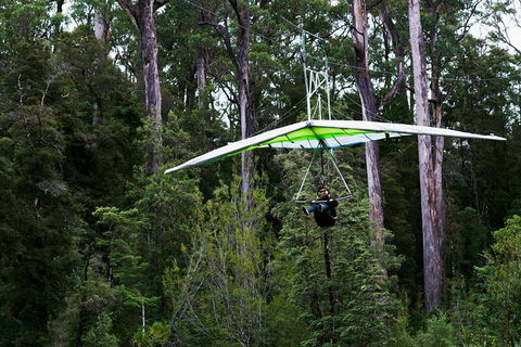 Small-groupTour From Hobart: Mt. Wellington, Huon Valley And Tahune AirWalk - Sunshine Coast Guide 4