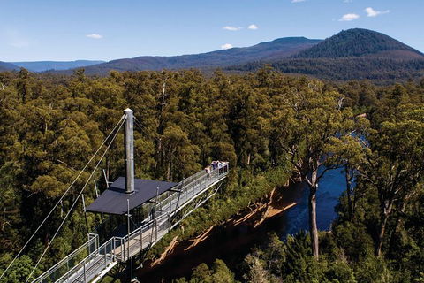 Small-groupTour From Hobart: Mt. Wellington, Huon Valley And Tahune AirWalk - Sunshine Coast Guide 8