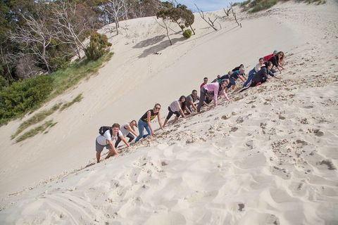 3 Day Tasmanian Wild West Coast Tour From Hobart To Launceston - Sunshine Coast Guide 8