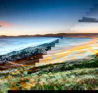 Full-Day Guided Bruny Island Tour from Hobart - Sunshine Coast Guide
