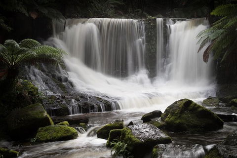 Mt Field National Park Premium Private Photo-oriented Day Tour From Hobart - Sunshine Coast Guide 0