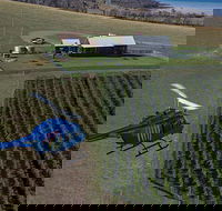 Bangor Vineyard Shed Helicopter Tour - Sunshine Coast Guide