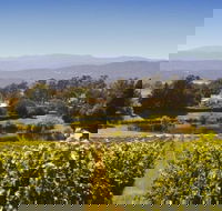 Josef Chromy Wines Winery Tour Including Tasting and Lunch - Sunshine Coast Guide