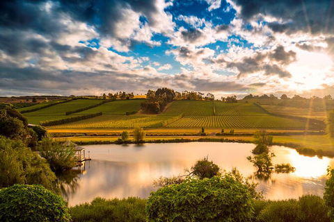 Josef Chromy Wines Winery Tour Including Tasting And Lunch - Sunshine Coast Guide 2