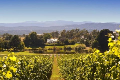 Josef Chromy Wines Winery Tour Including Tasting And Lunch - Sunshine Coast Guide 5