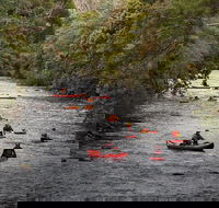 Meander Wilderness Experiences - Sunshine Coast Guide