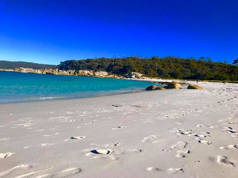 5-Day Lap Of Tasmania Tour From Hobart (flexible Ticket) - Sunshine Coast Guide 6