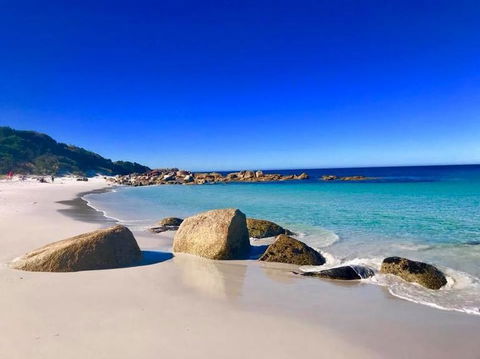 5-Day Lap Of Tasmania Tour From Hobart (flexible Ticket) - Sunshine Coast Guide 5