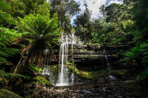 5-Day Lap Of Tasmania Tour From Hobart (flexible Ticket) - Sunshine Coast Guide 11