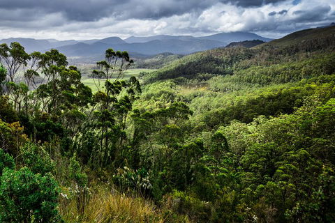 5-Day Lap Of Tasmania Tour From Hobart (flexible Ticket) - Sunshine Coast Guide 16