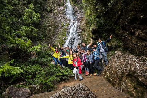 5-Day Lap Of Tasmania Tour From Hobart (flexible Ticket) - Sunshine Coast Guide 14