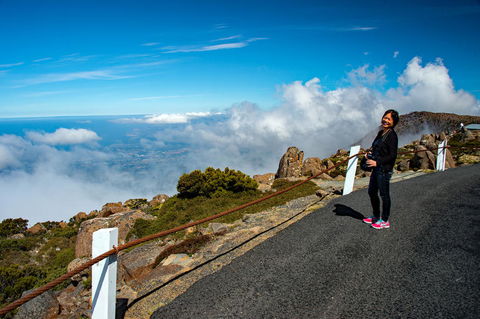 Small-Group Tour From Hobart: Mt Wellington, Bonorong Wildlife Park And Richmond - Sunshine Coast Guide 12