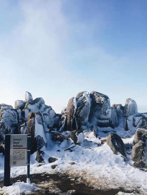 Small-Group Tour From Hobart: Mt Wellington, Bonorong Wildlife Park And Richmond - Sunshine Coast Guide 3