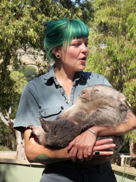 Small-Group Tour From Hobart: Mt Wellington, Bonorong Wildlife Park And Richmond - Sunshine Coast Guide 8