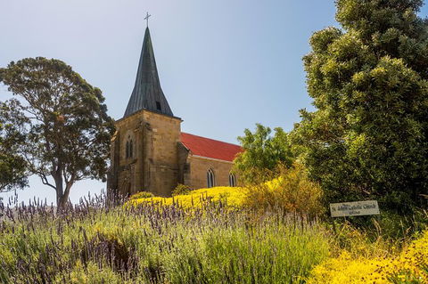 Small-Group Tour From Hobart: Mt Wellington, Bonorong Wildlife Park And Richmond - Sunshine Coast Guide 27