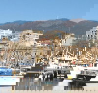 Private Mt Wellington Richmond Bonorong Wildlife Sanctuary Tour from Hobart - Sunshine Coast Guide
