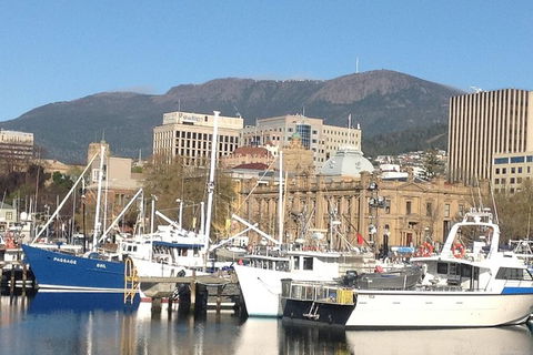 Private Mt Wellington, Richmond, Bonorong Wildlife Sanctuary Tour From Hobart - Sunshine Coast Guide 0