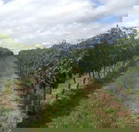 Coal River Valley  Hobart food  wine grazing tour - Sunshine Coast Guide
